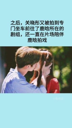 昆明动物园2只猫体检结果公布:最大的问题是心理,将做节育手术